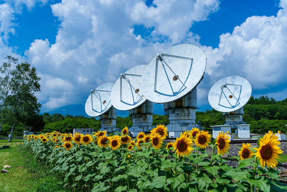 電波観測所とひまわり